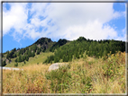 foto Da Forcella Montalon a Val Campelle